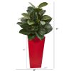 Artificial Rubber Plant in Red Tower Planter
