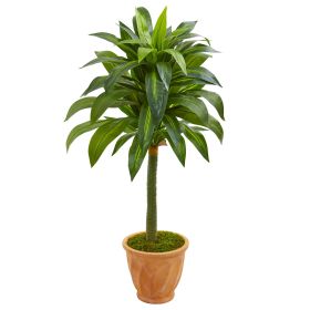 Dracaena Artificial Plant in Terra Cotta Planter