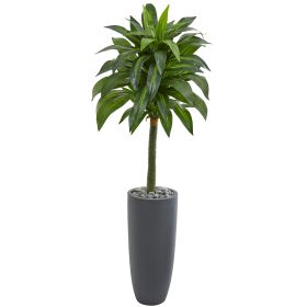 Dracaena Artificial Plant in Gray Planter