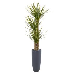 Yucca Artificial Tree in Bullet Planter