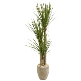 Yucca Artificial Tree in Sand Colo Red Planter