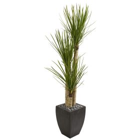 Yucca Artificial Tree in Black Planter