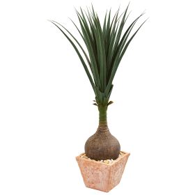 Yucca Artificial Plant in Terra Cotta Planter