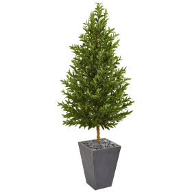 Olive Cone Topairy Tree in Planter UV (Indoor/Outdoor)