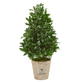 Bay Leaf Cone Topiary Tree in Farmhouse Planter