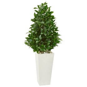 Bay Leaf Cone Topiary Tree in Planter UV (Indoor/Outdoor)
