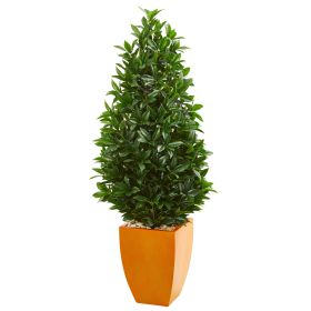 Bay Leaf Cone Topiary in Org Planter UV (Indoor/Outdoor)