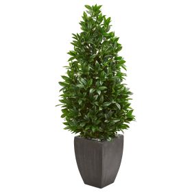 Bay Leaf Cone Topiary UV in Planter (Indoor/Outdoor)