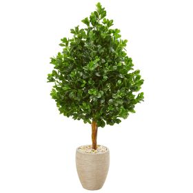Ever Green Artificial Tree in Sand Finished Planter