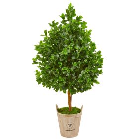 Ever Green Artificial Tree in Farmhouse Planter