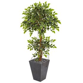 Variegated Ficus Artificial Tree in Slate Planter