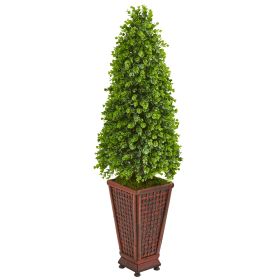 Eucalyptus Cone Topiary Tree in Decorative Planter