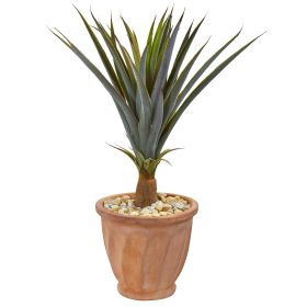 Agave Succulent Artificial Plant in Terra Cotta Planter