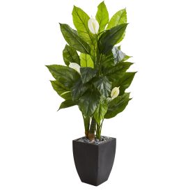 Spathyfillum Plant in Black Planter (RealTouch)