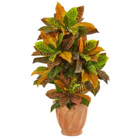 Croton Plant in Terra Cotta Planter (Real Touch)
