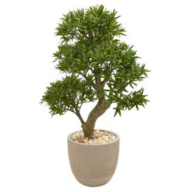 Podocarpus Artificial Bonsai Tree in Sandstone Planter