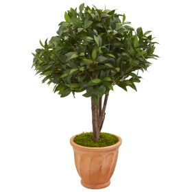 Bay Leaf Topiary Artificial Tree in Terra Cotta Planter