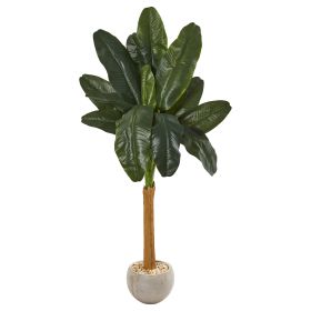 Banana Artificial Tree in Sand Colo Red Bowl