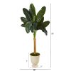 Banana Artificial Tree in Decorative Urn