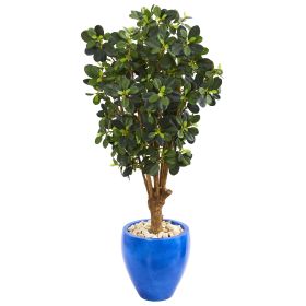 Panda Ficus Artificial Tree in Blue Planter
