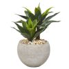Agave Artificial Plant in Sand Colo Red Bowl