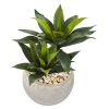 Agave Artificial Plant in Sand Colo Red Bowl