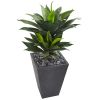 Double Agave Succulent Artificial Plant in Slate Planter