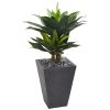 Double Agave Succulent Artificial Plant in Slate Planter