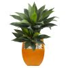 Double Agave Succulent Artificial Plant in Orange Planter