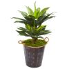 Double Agave Succulent Artificial Plant in Metal Planter