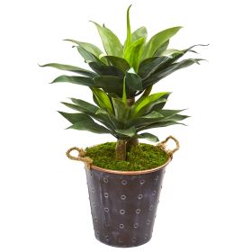 Double Agave Succulent Artificial Plant in Metal Planter