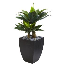 Double Agave Succulent Artificial Plant in Black Planter