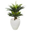 Double Agave Succulent Artificial Plant in White Planter