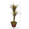 Yucca Artificial Tree in Planter