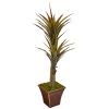 Yucca Artificial Tree in Planter