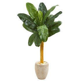 Banana Artificial Tree in Sand Colo Red Planter