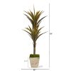 Yucca Artificial Tree in Country White Planter