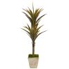 Yucca Artificial Tree in Country White Planter
