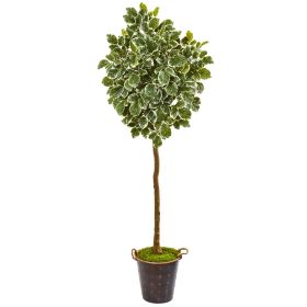 Variegated Aralia Artificial Tree in Metal Planter