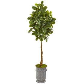 Beech Leaf Artificial Tree in Decorative Planter