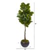 Rubber Leaf Tree in Metal Planter (Real Touch)
