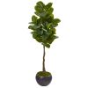 Rubber Leaf Tree in Metal Planter (Real Touch)