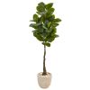 Rubber Leaf Tree in Sandstone Planter (Real Touch)