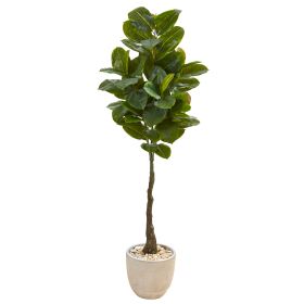 Rubber Leaf Tree in Sandstone Planter (Real Touch)