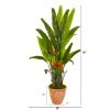 Bird of Paradise Artificial Plant in Terra Cotta Planter