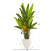 Bird of Paradise Artificial Plant in White Planter