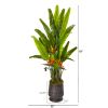Bird of Paradise Artificial Plant in Decorative Planter