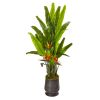 Bird of Paradise Artificial Plant in Decorative Planter