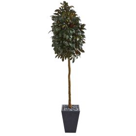 Capensia Ficus Artificial Tree in Slate Planter