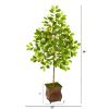 Lemon Artificial Tree in Decorative Planter